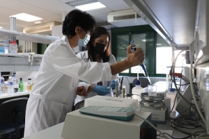 La investigadoras Soledad Rubio (izqd.) y Ana Ballesteros, dos de las autoras de la investigación, realizan un experimento en el laboratorio.