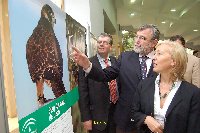 El III Congreso Andaluz de Caza aboga por una actividad cinegtica sostenible que mejore la imagen social del cazador
