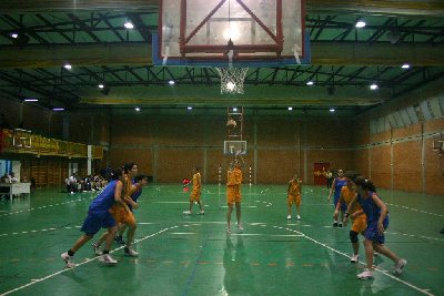 El equipo femenino de baloncesto de la UCO, subcampen de Andaluca.